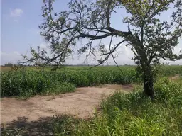 Vista 8