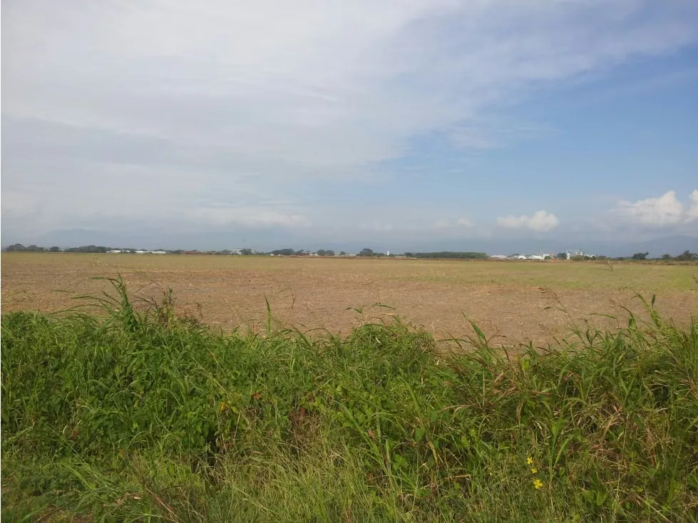 Vendo Lote de Terreno Plano en Acarigua Estado Portuguesa - 9