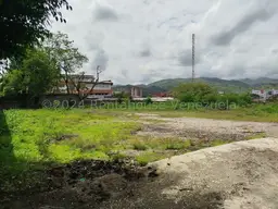 Vista 6