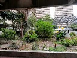 Vista 4