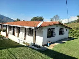 Vista 1