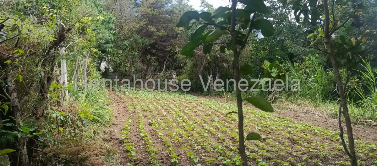 Casa (1 Nivel) en Venta en San Rafael de Tabay, Merida - 15