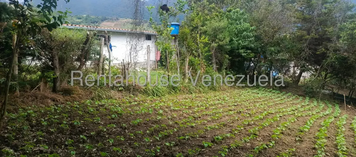 Casa (1 Nivel) en Venta en San Rafael de Tabay, Merida - 24