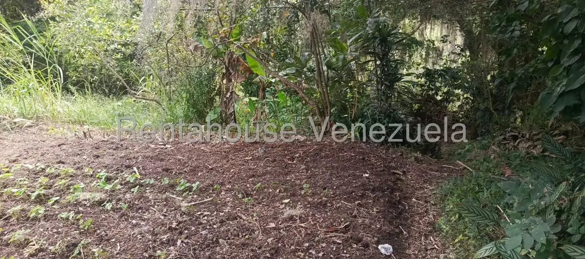 Casa (1 Nivel) en Venta en San Rafael de Tabay, Merida - 25