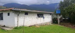 Vista 33