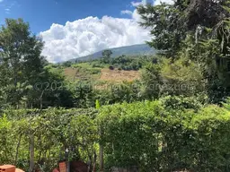 Vista 9