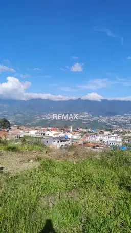 View 4