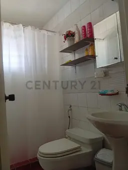 Vista 13