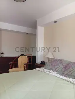 Vista 15