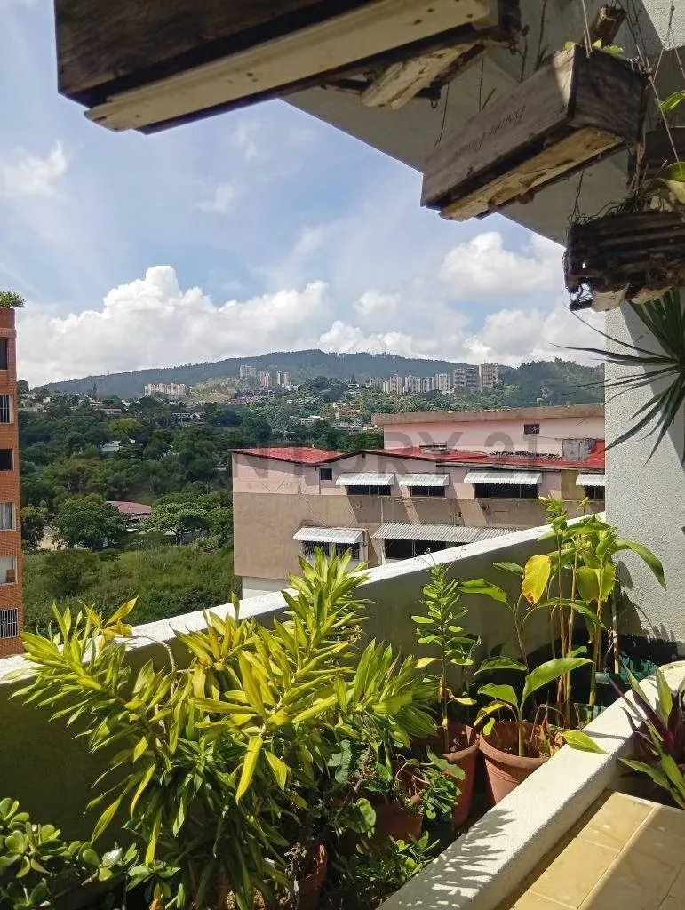 Venta de Penthouse Dúplex en Terrazas de Club Hípico, Municipio Baruta - 5
