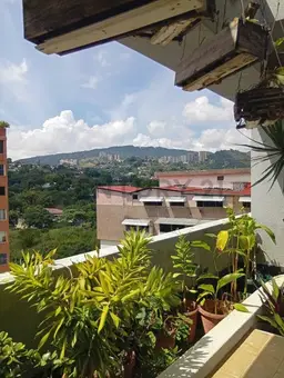 Vista 5