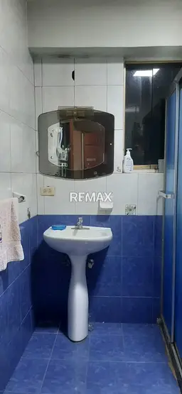 Vista 12