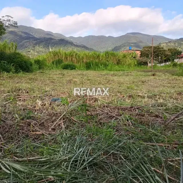 EN VENTA TERRENOS Ubicados en San Rafael de Cordero TNRO 2 - 5