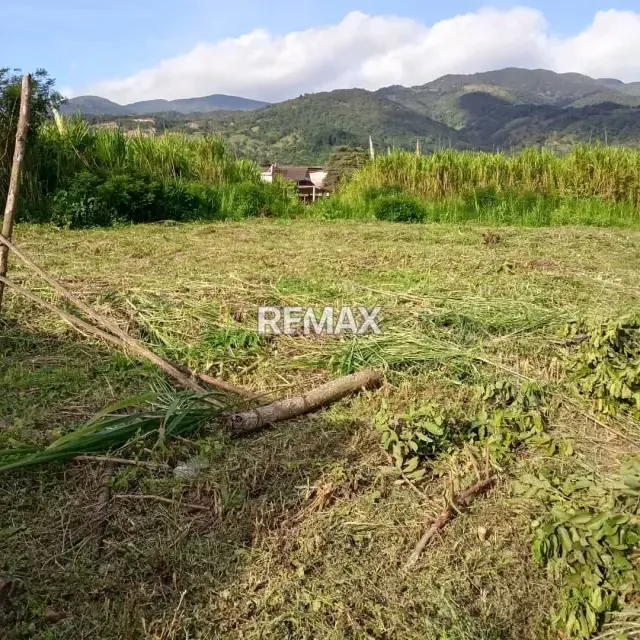 EN VENTA TERRENOS Ubicados en San Rafael de Cordero TNRO 2 - 8