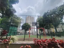View 41