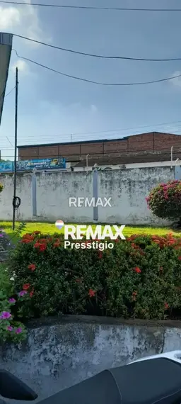 Vista 10