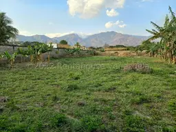 Vista 13