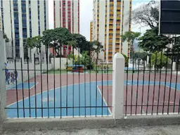 View 15