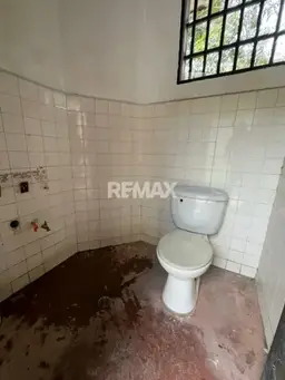 Vista 5