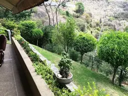View 37