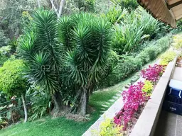 View 38