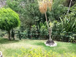 View 39