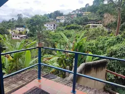Vista 21