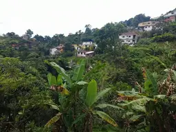 Vista 22