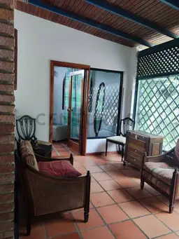 Vista 5