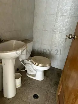 Vista 4