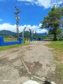 Vista 1