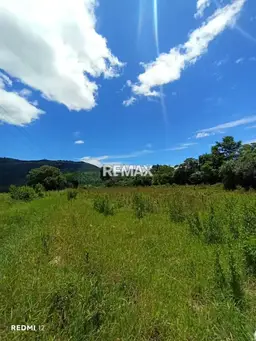 Vista 4