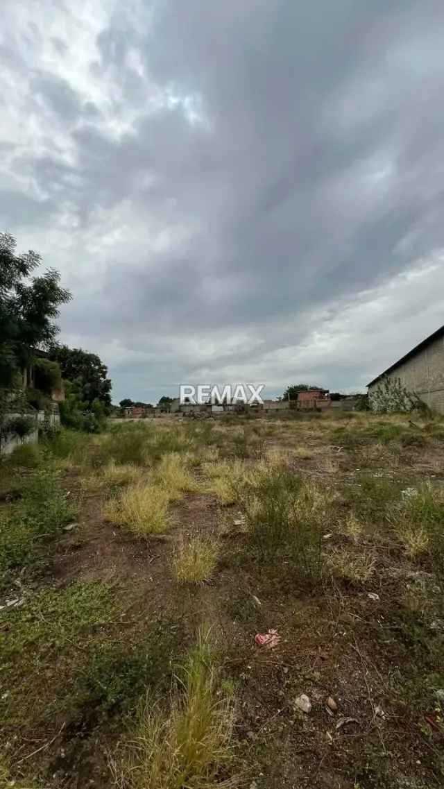 VENTA TERRENO Y COMPLEJO DE 3 GALPONES UBICADOS EN AV 50 VIA PERIJA - 3