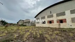 View 5