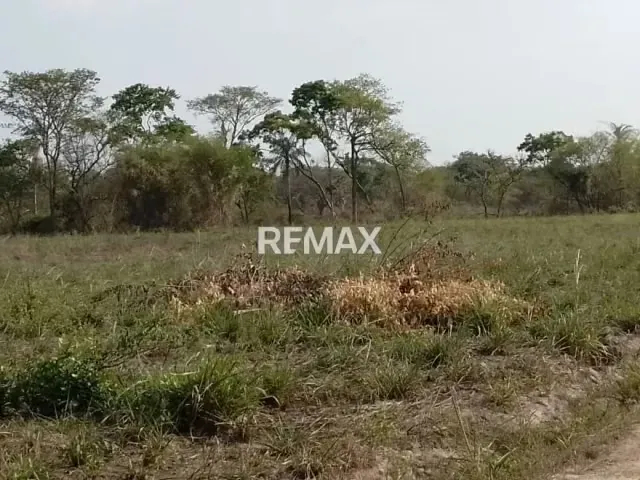 Granja en venta, doble propósito para recreación y producción 3 hectáreas ubicadas vía Payara a solo 5 min de Acarigua - 13