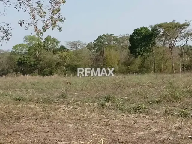 Granja en venta, doble propósito para recreación y producción 3 hectáreas ubicadas vía Payara a solo 5 min de Acarigua - 14