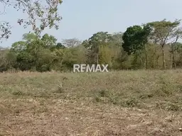 View 14