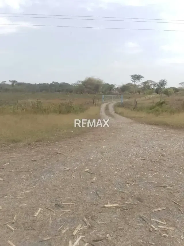 Granja en venta, doble propósito para recreación y producción 3 hectáreas ubicadas vía Payara a solo 5 min de Acarigua - 3
