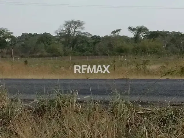 Granja en venta, doble propósito para recreación y producción 3 hectáreas ubicadas vía Payara a solo 5 min de Acarigua - 4