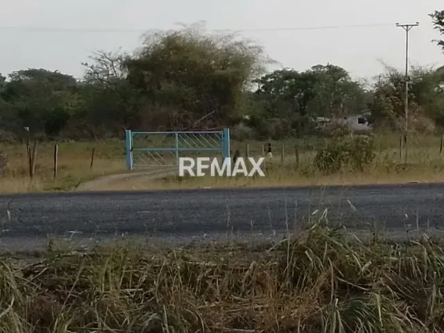 Granja en venta, doble propósito para recreación y producción 3 hectáreas ubicadas vía Payara a solo 5 min de Acarigua - 5