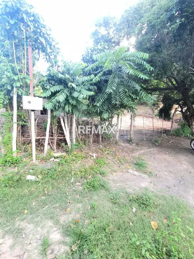 Venta casa las tunas guamasire - 6