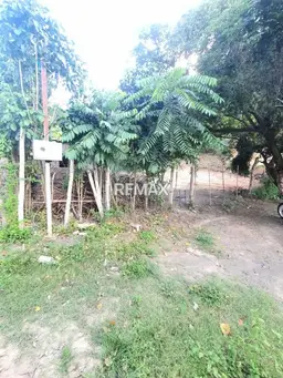 View 6