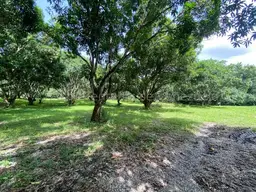 View 16