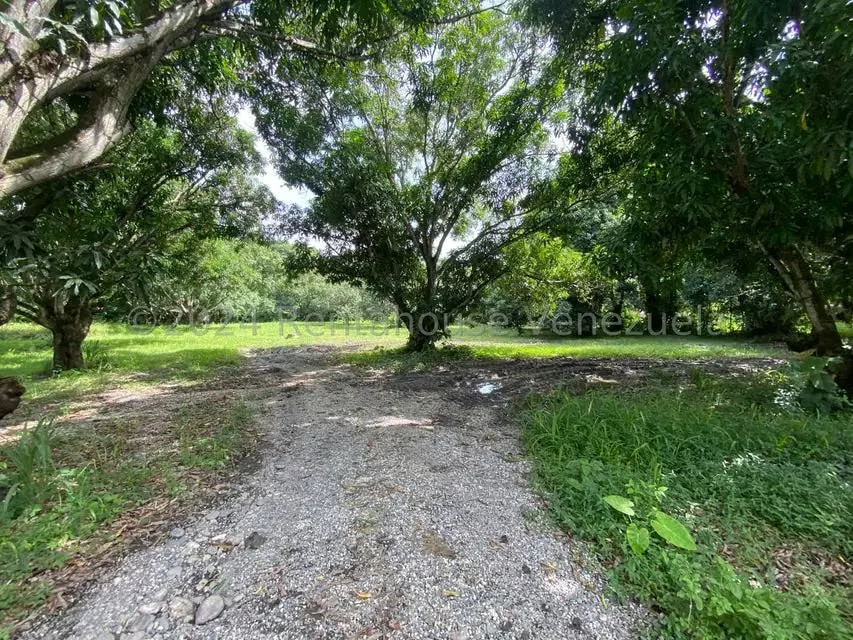 Terreno (Residencial) en Venta en Araure, Portuguesa - 17