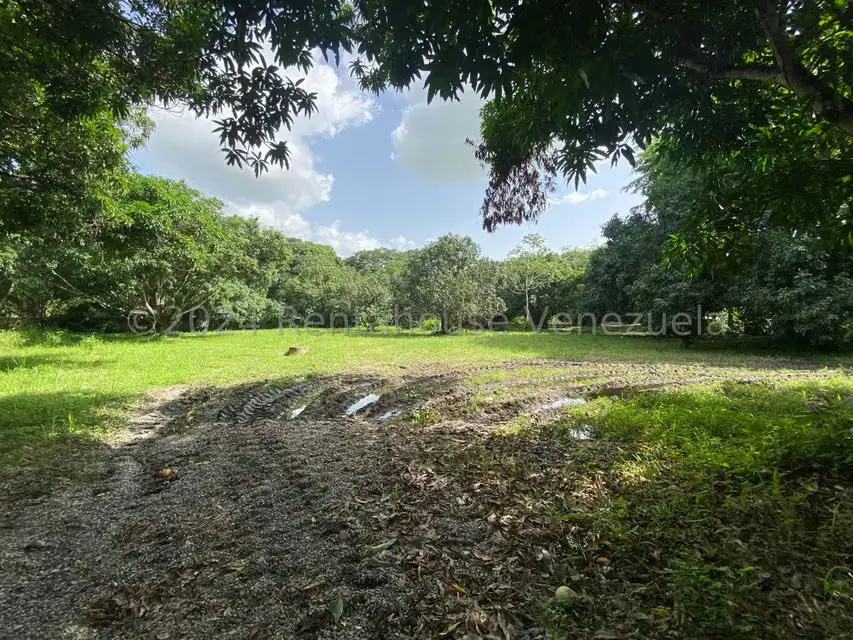 Terreno (Residencial) en Venta en Araure, Portuguesa - 18
