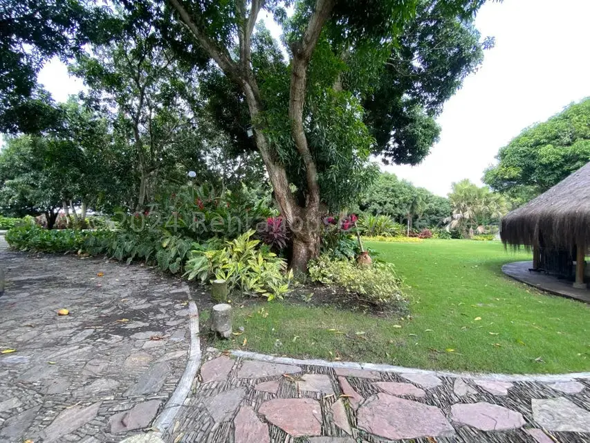 Terreno (Residencial) en Venta en Araure, Portuguesa - 6
