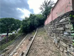 Vista 19