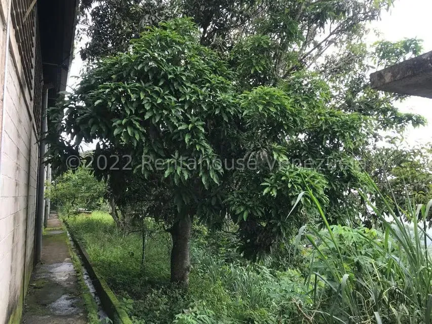 Galpon - Deposito en Venta en Sector Guaracarumbo, Miranda - 13