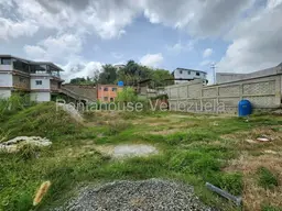 Vista 12