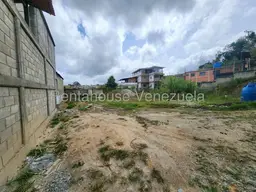 Vista 9